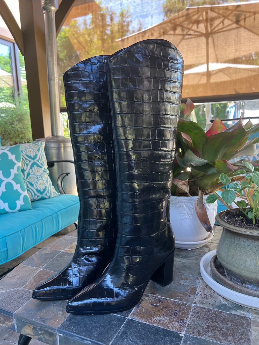 SCHUTZ Maryanna Black heel Croc-Embossed Knee-High Heeled Boots 8